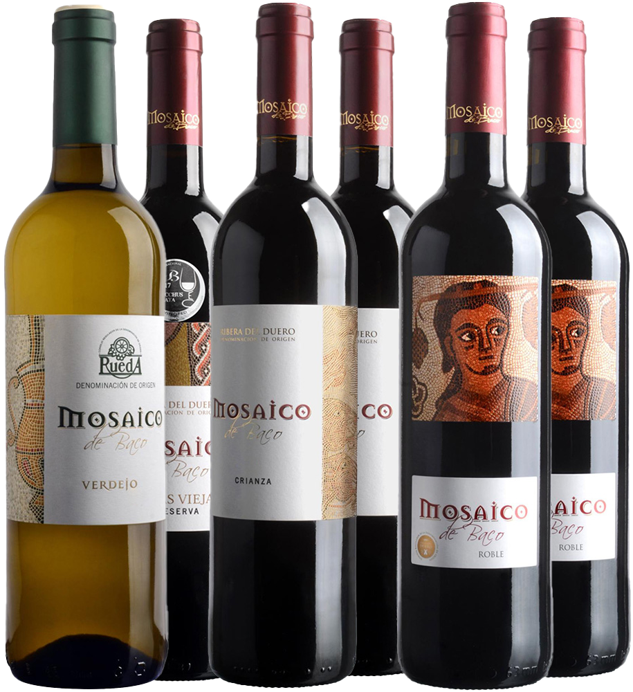 El Mosaico de Baco Kennenlern-Paket Ribera del Duero DO