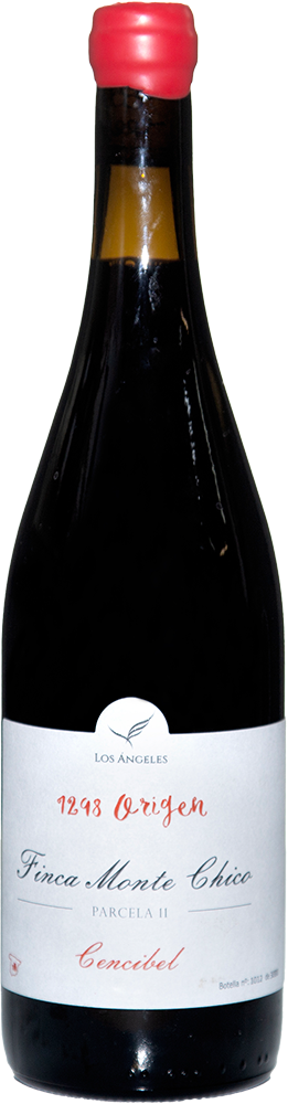 2023 1298 Origen Cencibel Barrica Castilla VT