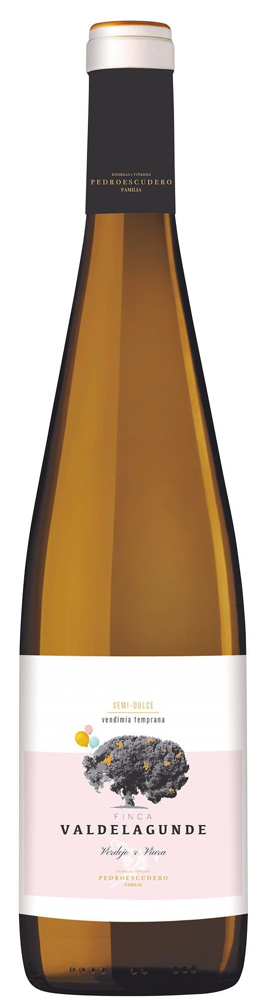 2024 Valdelagunde Castilla y León V.T.