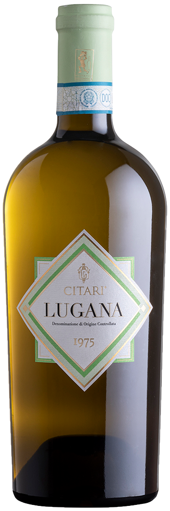 2025 Lugana DOC