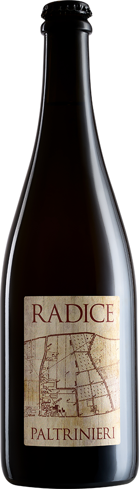 Radice Lambrusco di Sorbara DOC