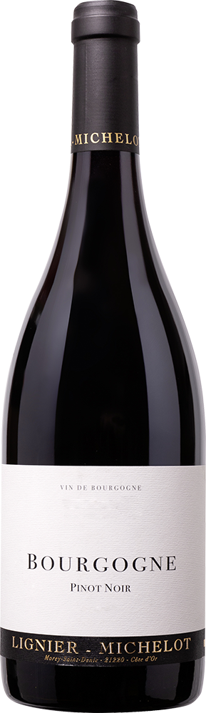 2022 Pinot Noir Bourgogne AOP