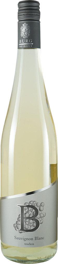 2023 Sauvignon blanc