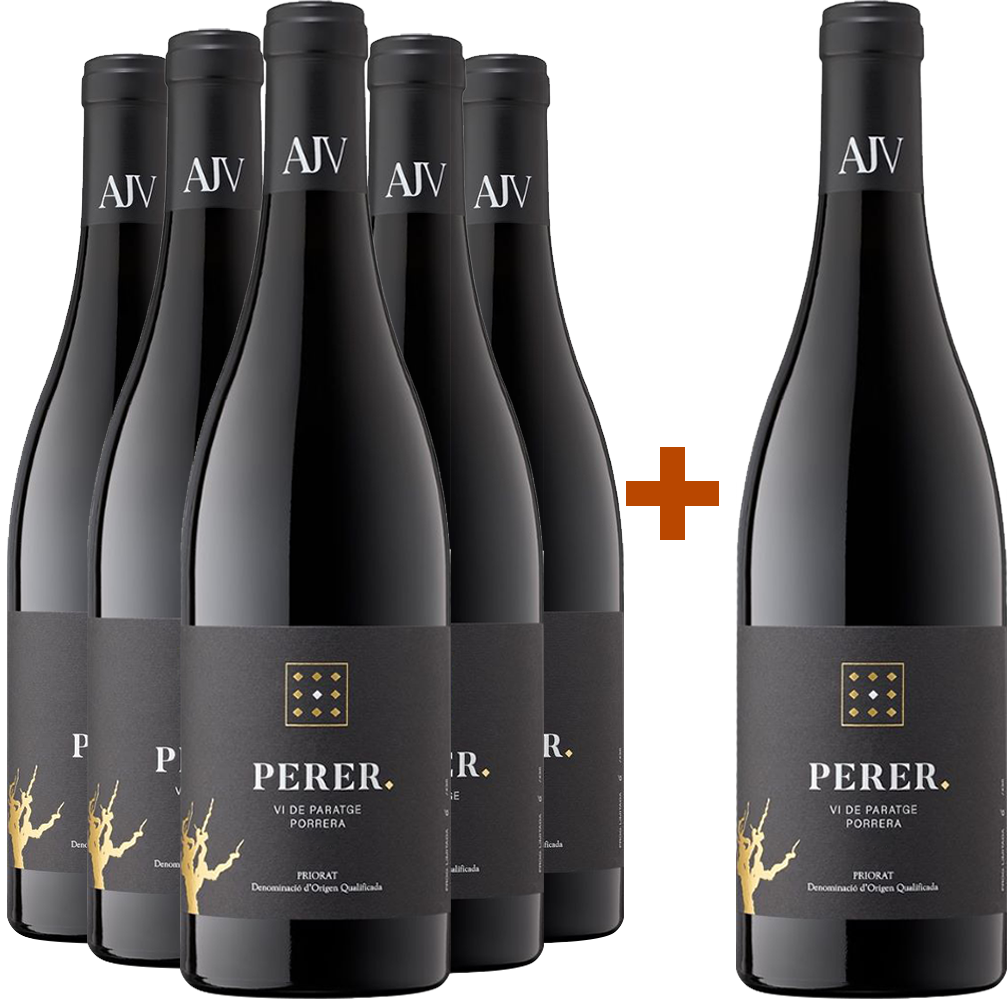 5+1 Aktionspaket Perer Priorat DOCa BIO