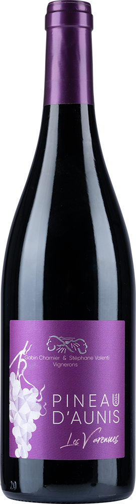 2025 VIN DE FRANCE PINEAU D'AUNIS