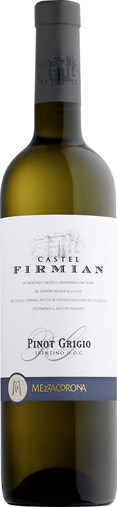 2024 Pinot Grigio Trentino DOC