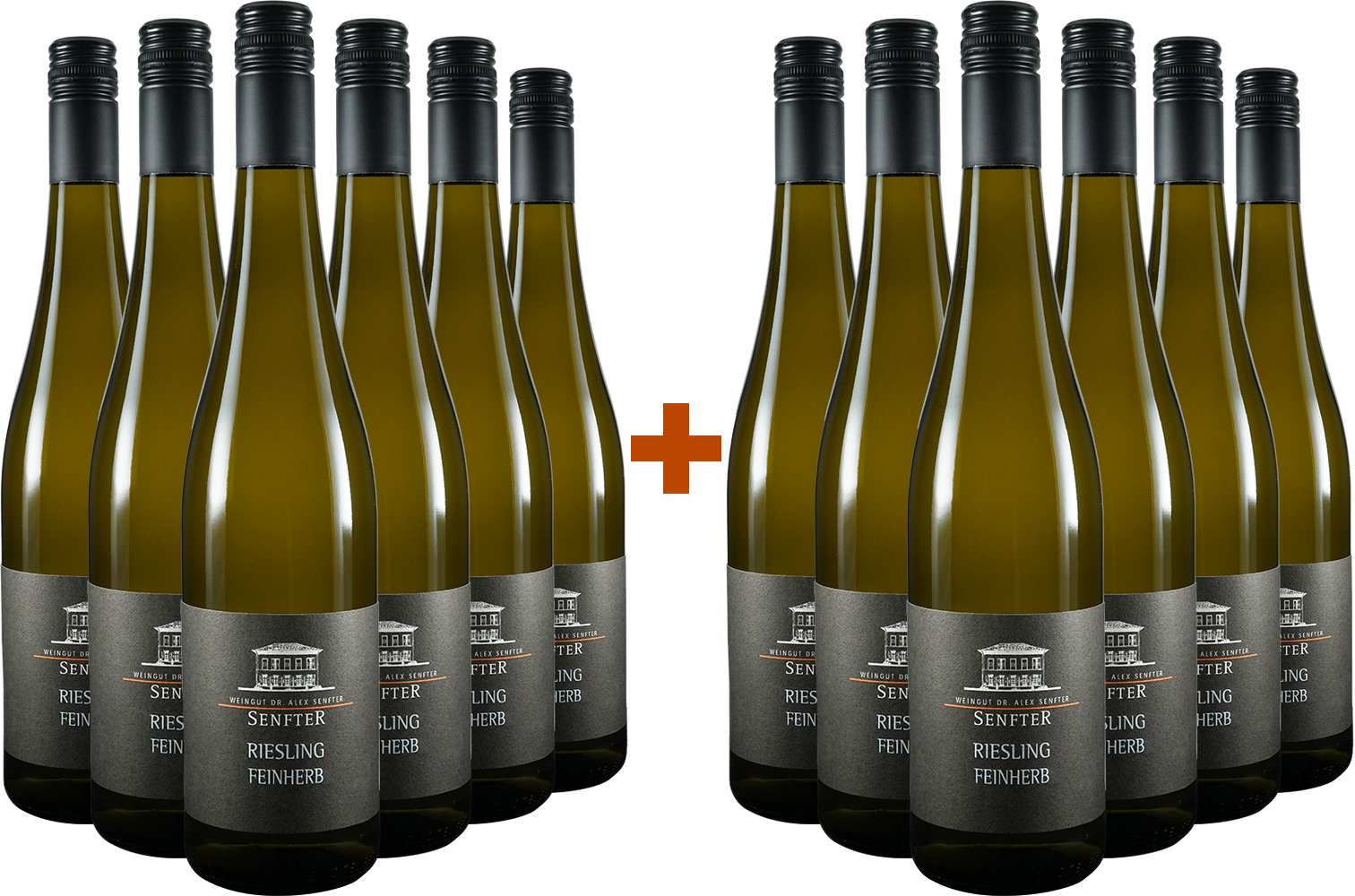 6+6 Paket Riesling Feinherb