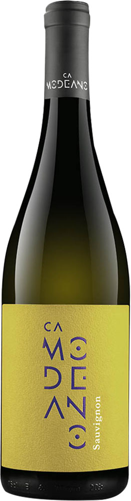 2025 Sauvignon Friuli DOC