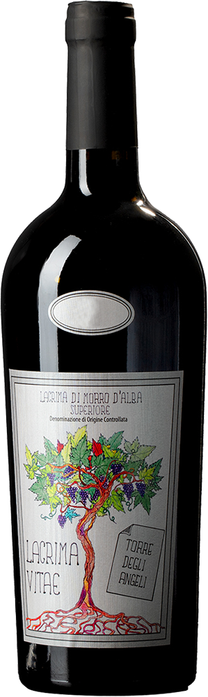 2019 Lacrima Vitae Lacrima Di Morro D'Alba Superiore DOC