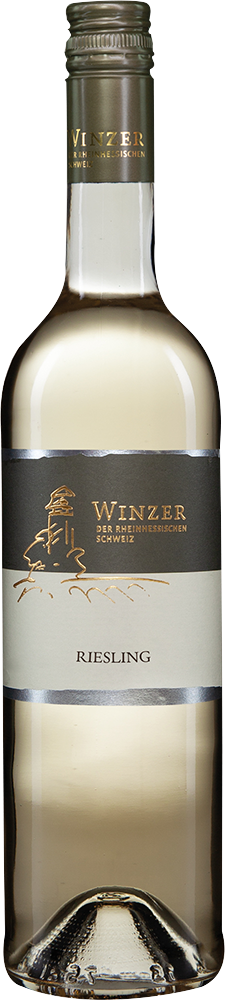 2024 Riesling klassisch