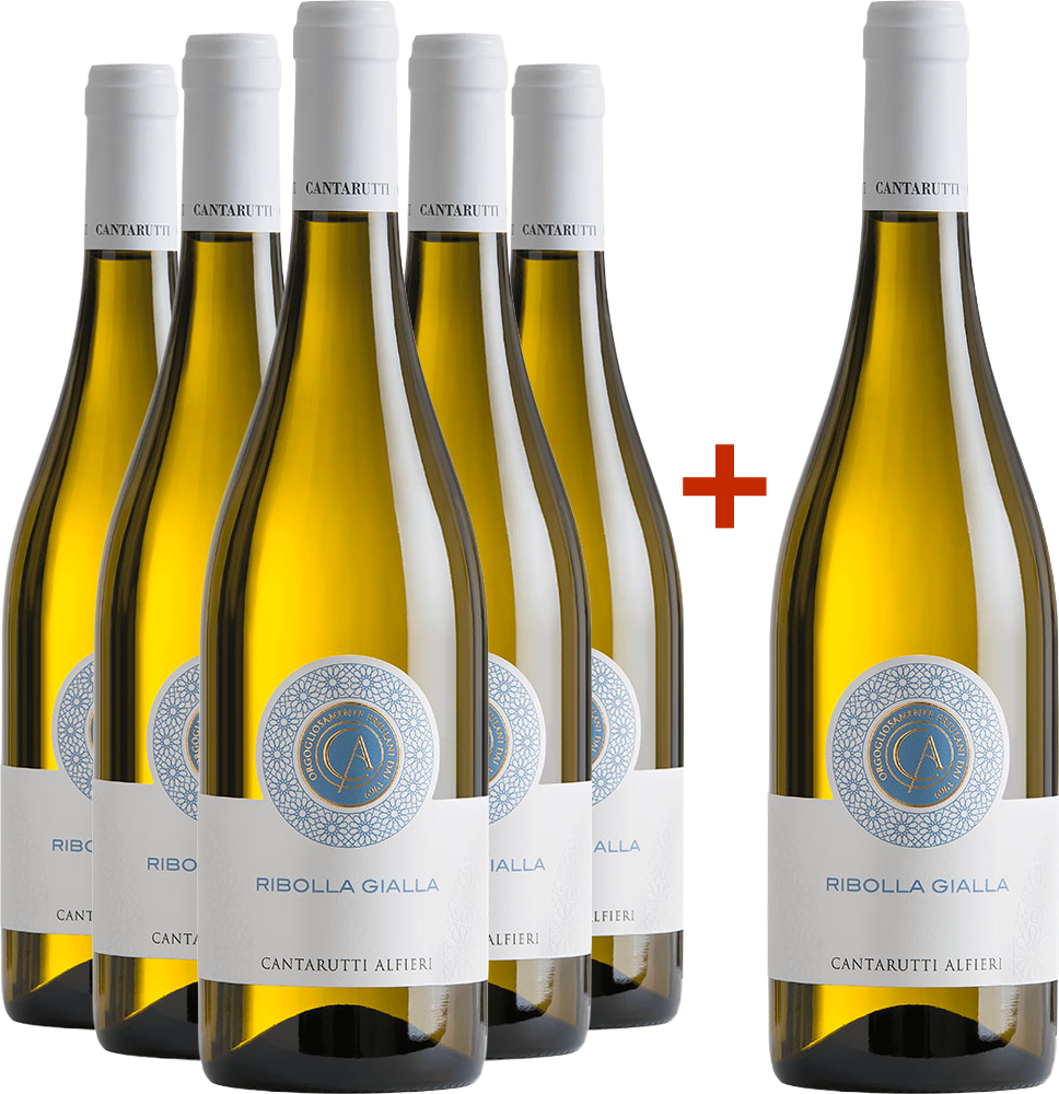 5+1 Paket Ribolla Gialla Friuli Colli Orientali DOC
