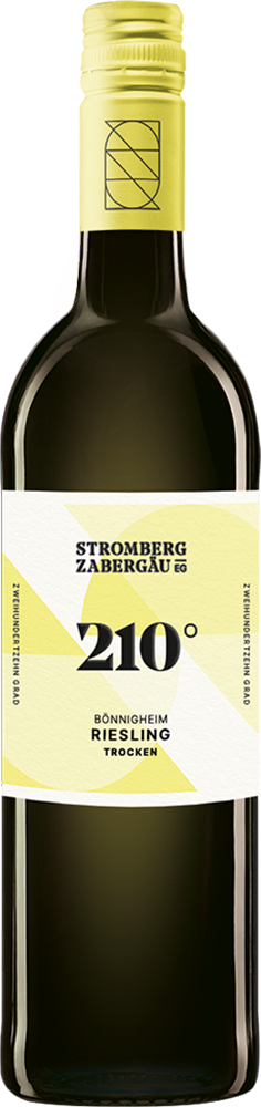 2024 210° Erkundung Bönnigheim Riesling