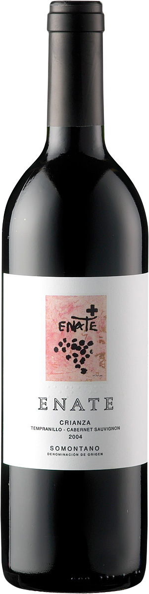 2021 Enate Crianza DO