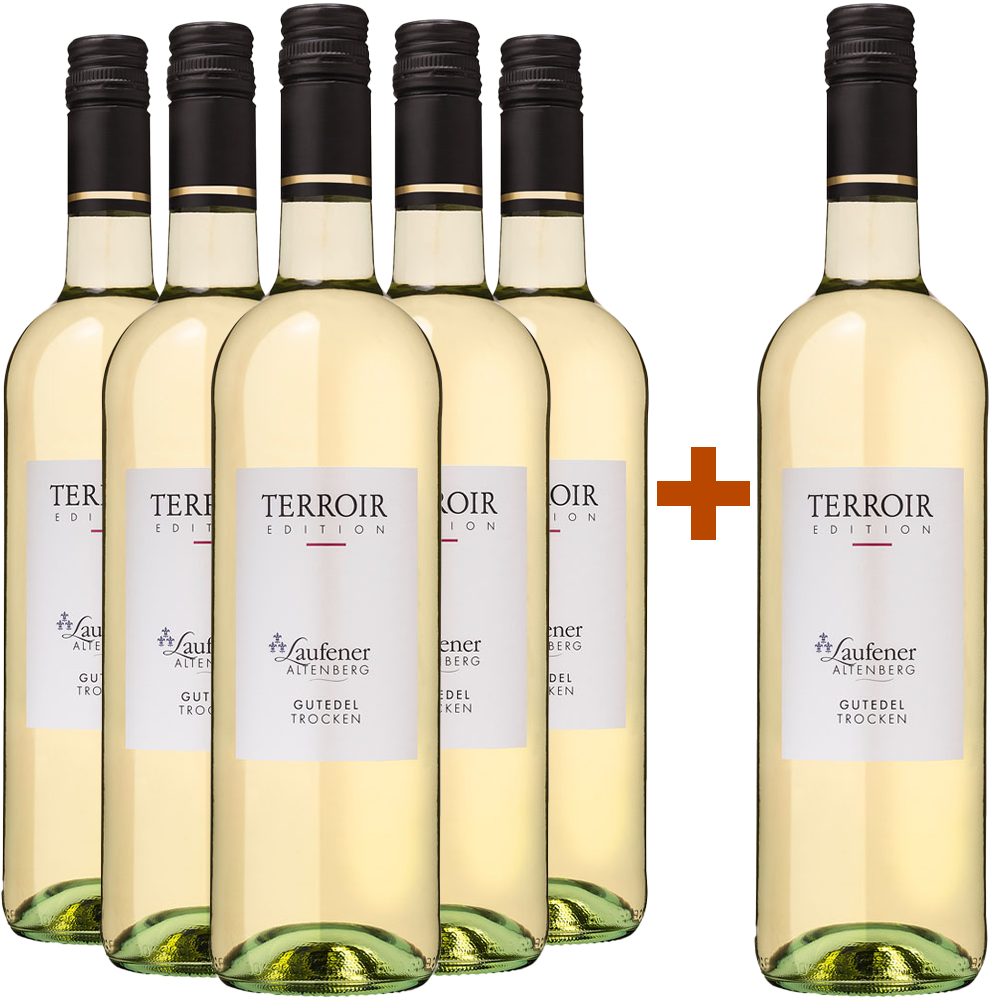 5+1 Paket Gutedel trocken