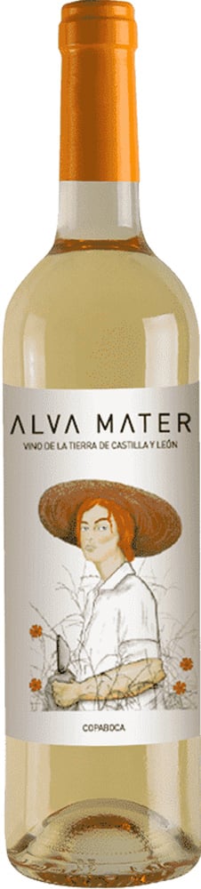2024 Alva Mater Blanco Castilla y León VT