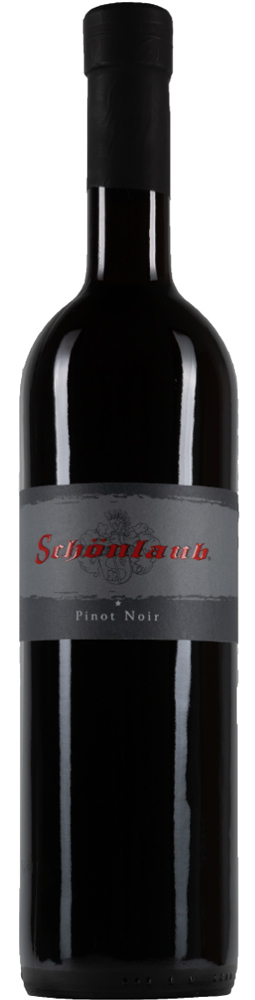 2020 Pinot Noir *