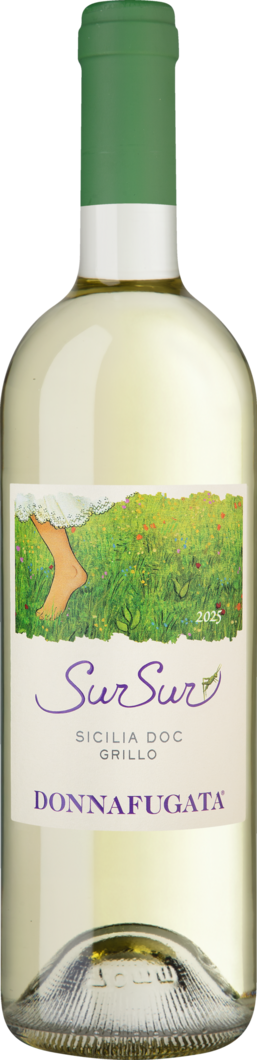 2025 SurSur Grillo