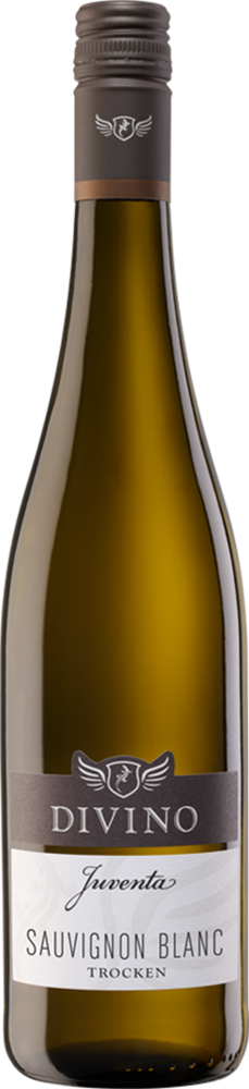 2025 JUVENTA Sauvignon Blanc