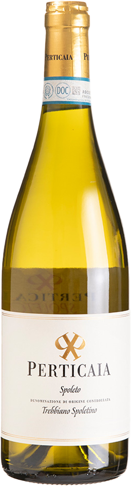 2025 Trebbiano Spoleto DOC