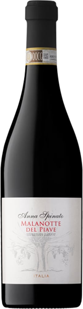 2017 Malanotte del Piave DOCG Raboso Superiore