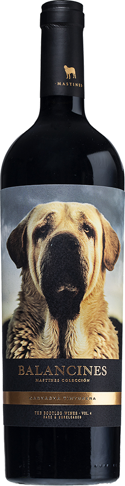 2018 Mastines Boj Ribera del Guadiana DO