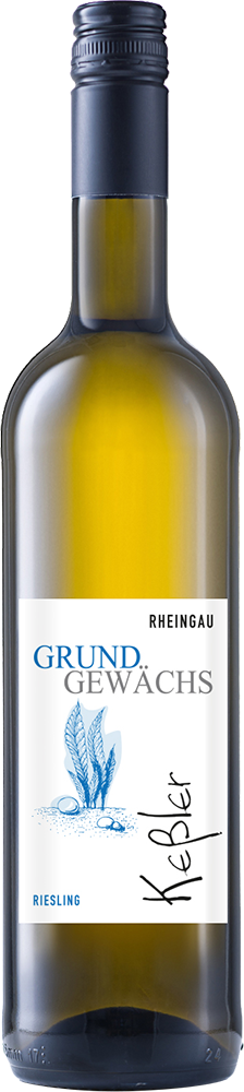 2024 GRUNDGEWÄCHS Riesling Qualitätswein 1,0 L