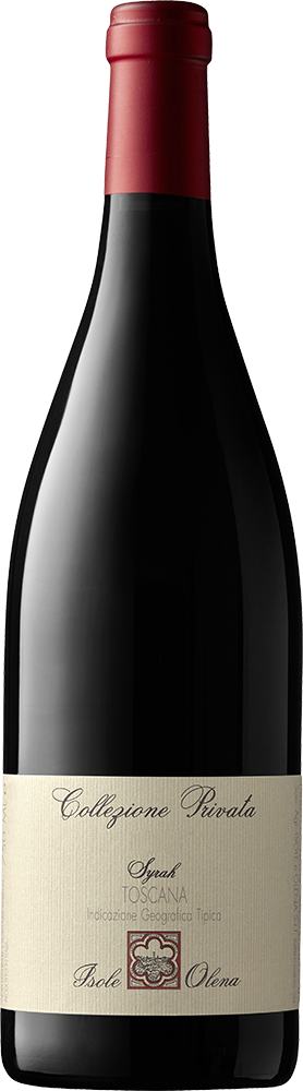 2021 Syrah Toscana IGP