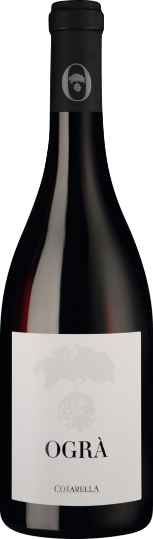2018 Ogrà Syrah