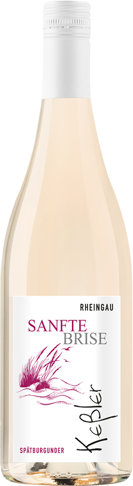 2025 SANFTE BRISE Spätburgunder Blanc de Noir Qualitätswein
