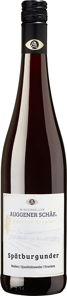 2025 Tradition Spätburgunder Rotwein