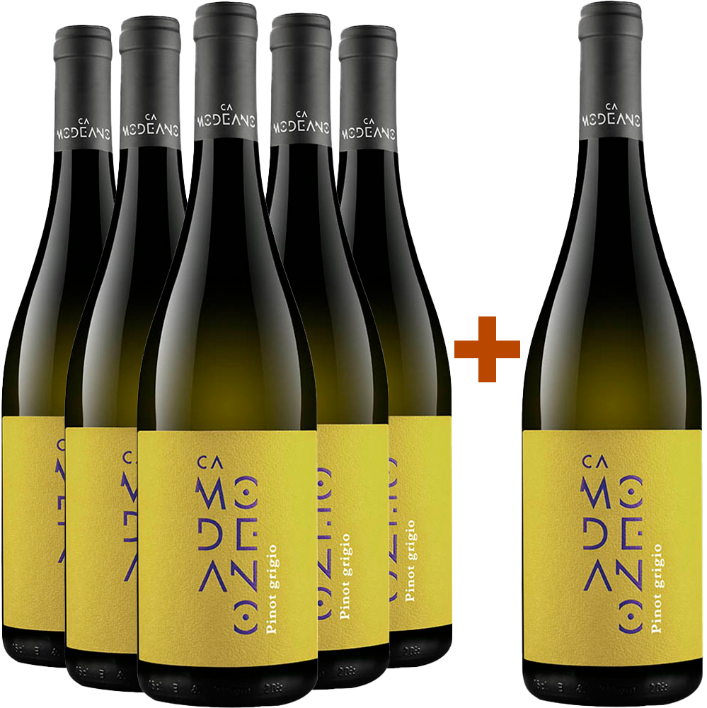 5+1 Paket Pinot Grigio Friuli DOC