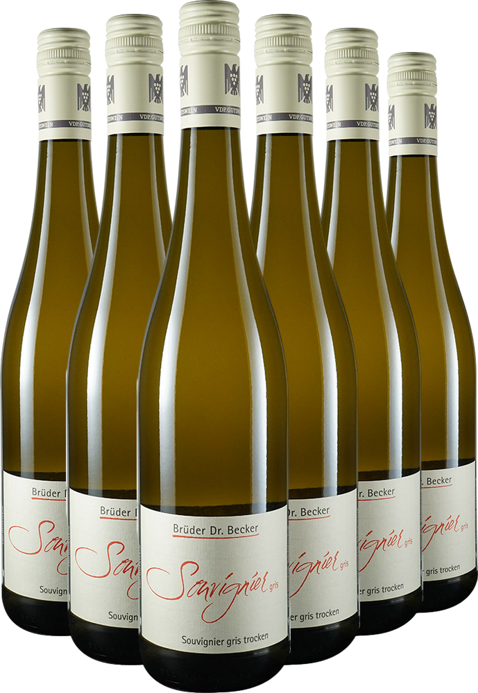 2025 Souvignier gris VDP.GUTSWEIN BIO Paket BIO