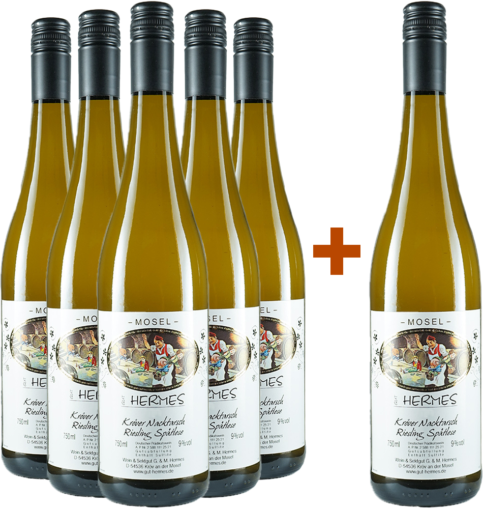 5+1 Paket Riesling Spätlese feinherb
