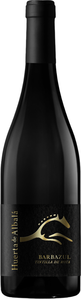 2024 Barbazul Tintilla de Rota Cádiz VT