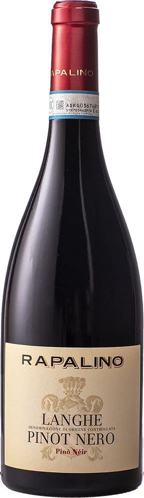2021 Pinot Nero Langhe DOC