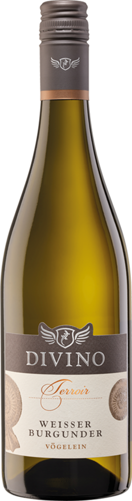 2025 DIVINO Terroir Nordheimer Vögelein Weisser Burgunder