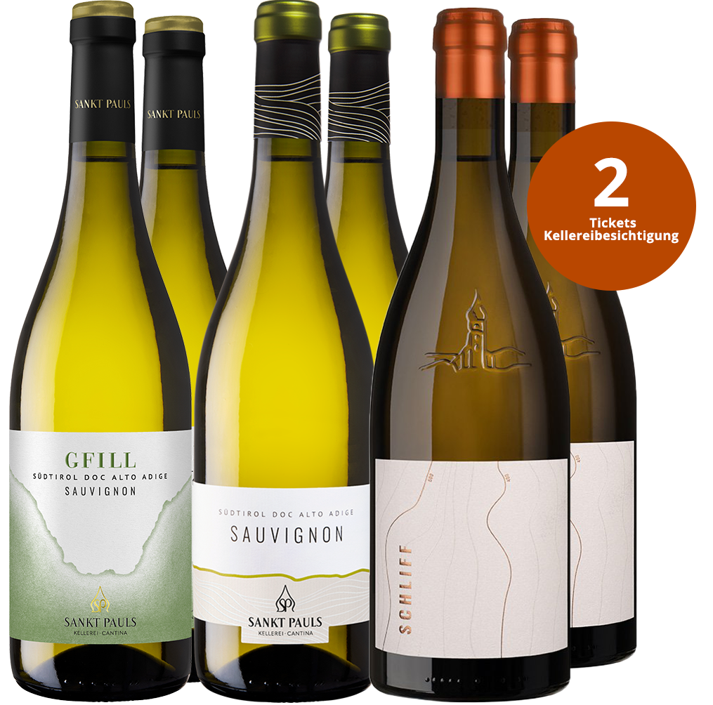 Sauvignon Verkostungsbox + 1 Ticket zur Kellerführung