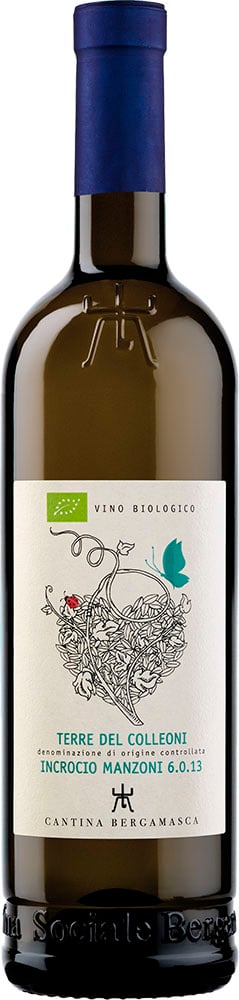 2023 Incrocio Manzoni Terre del Colleoni DOC BIO