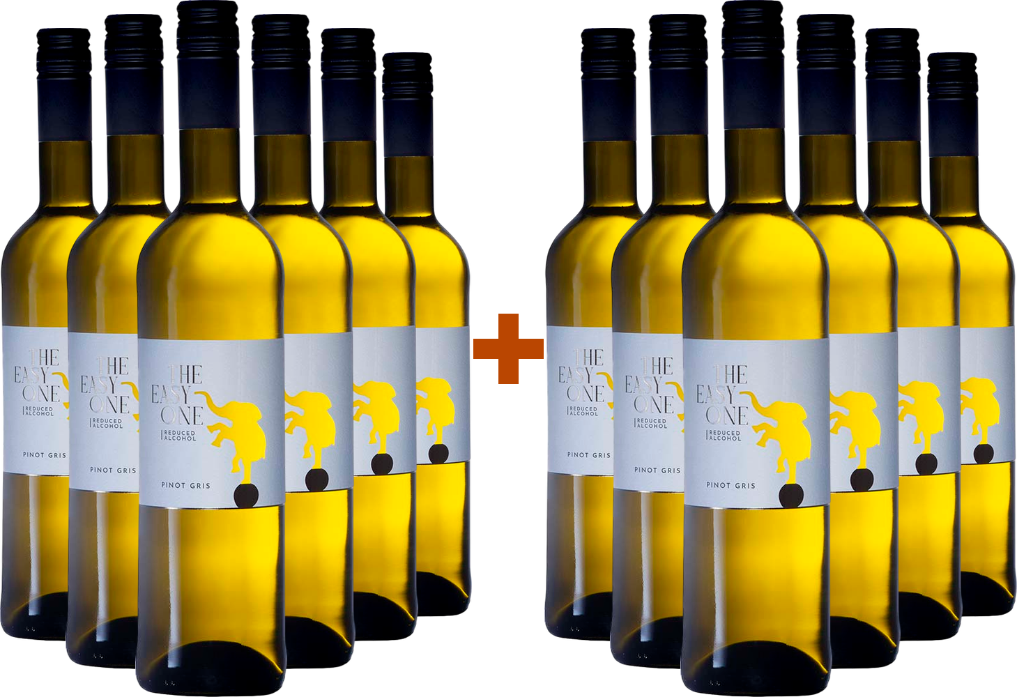 6+6 Paket Pinot gris 5 % Easy One