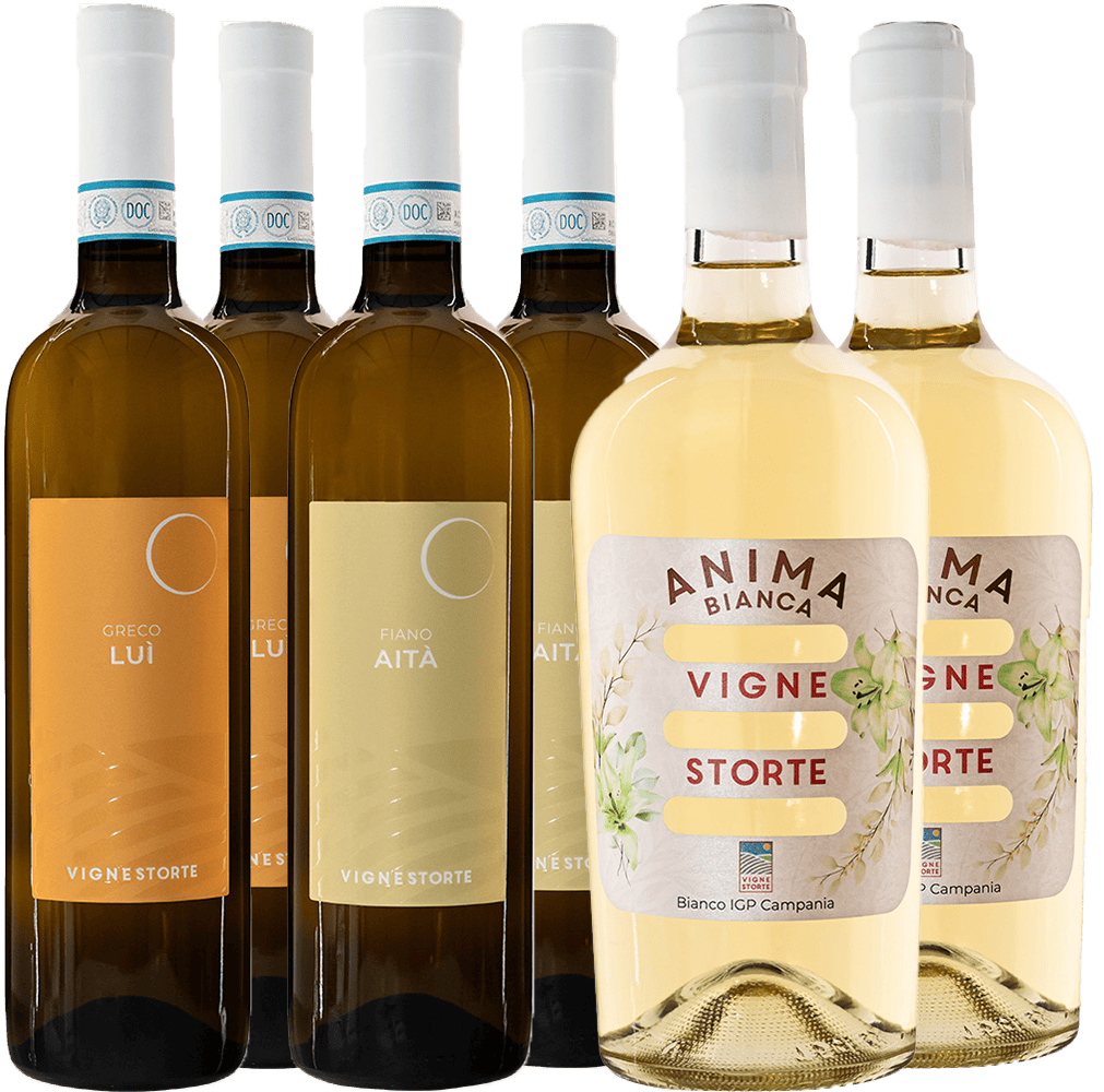 Vigne Storte Kennenlern-Paket