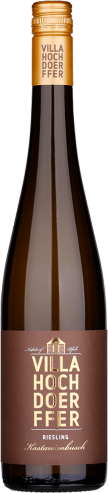 2023 Riesling "Birkweiler Kastanienbusch"