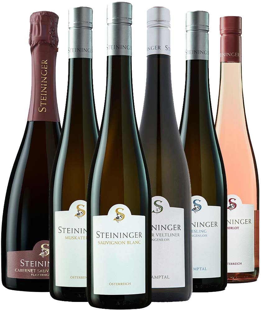 Steininger Kennenlern-Paket