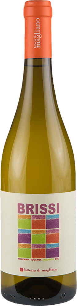 2023 Brissi Maremma Toscana DOC BIO