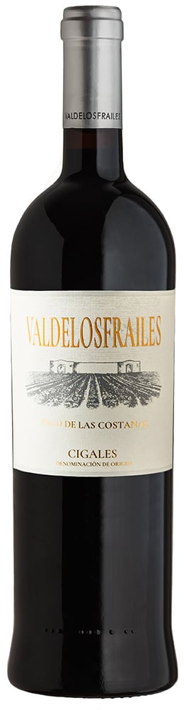 2016 Valdelosfrailes Pago de Las Costanas DO Cigales