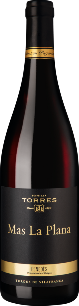 2019 Mas La Plana Cabernet Sauvignon