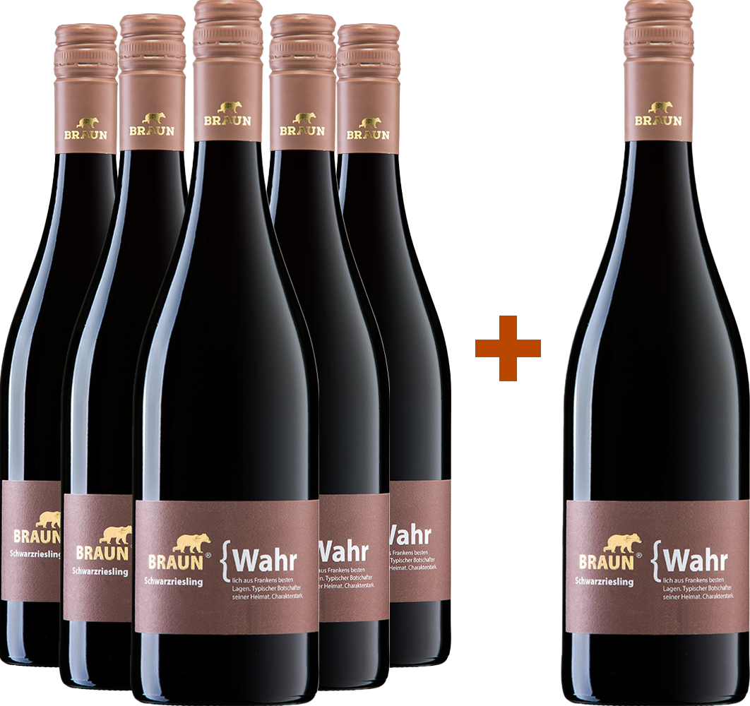 5+1 Paket Schwarzriesling trocken