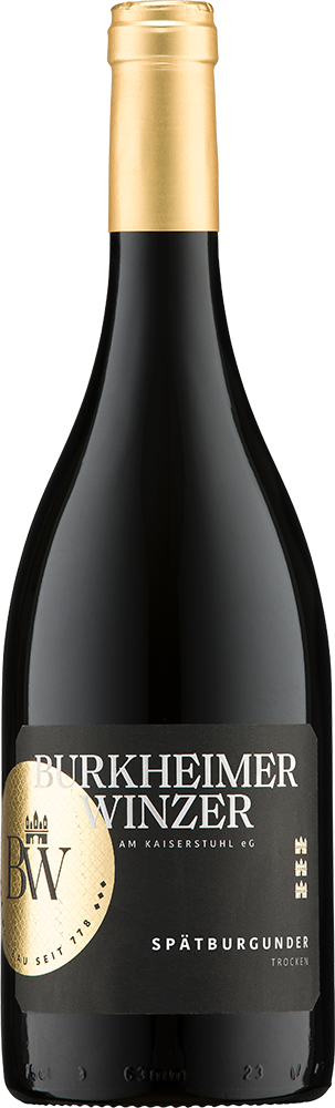 2023 STOLZ Spätburgunder Rotwein "ViniGrande"