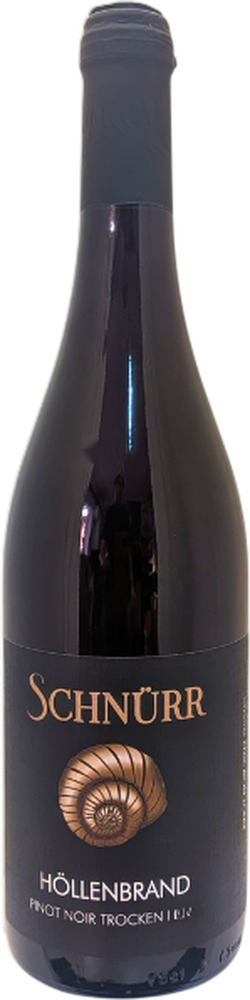 2023 HÖLLENBRAND Pinot noir