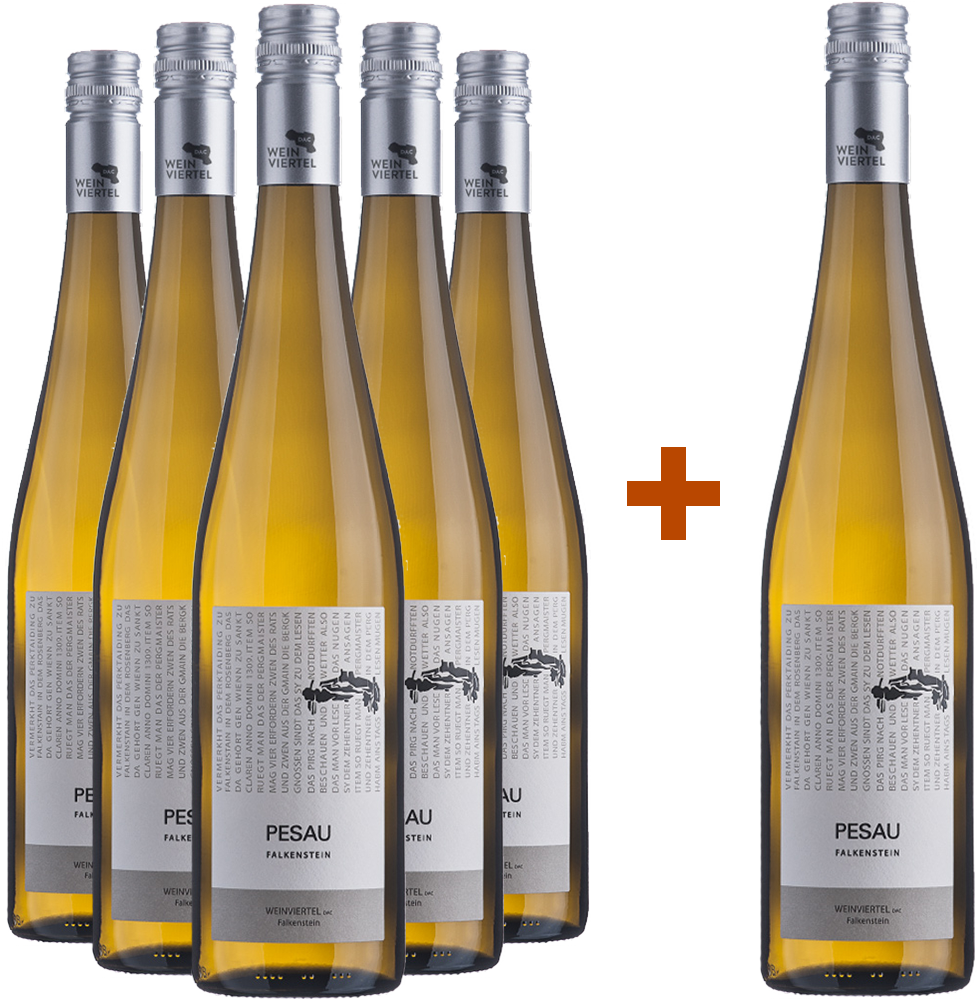 5+1 Paket Weinviertel DAC Grüner Veltliner Falkenstein BIO