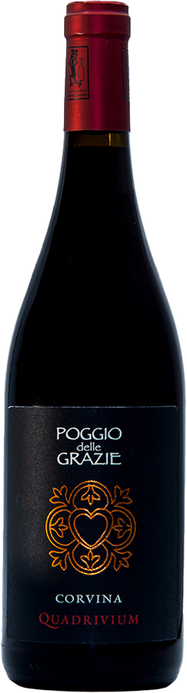 2020 Quadrivium Corvina Verona IGP BIO